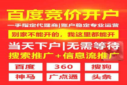 SEM竞价入门指南，经典案例分享